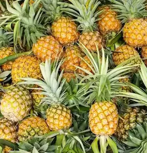 Piña